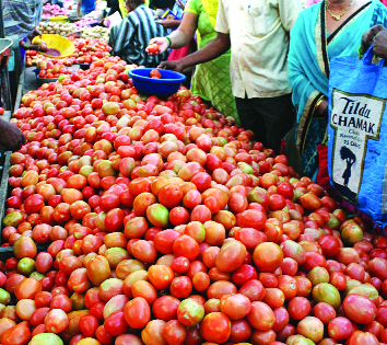 Tomatoes for Rs.10 / kg | टोमॅटो दहा रुपये किलो