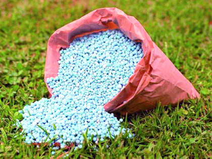 Urea granular | वजनाच्या आडून युरिया अनुदानाला कात्रीचा डाव