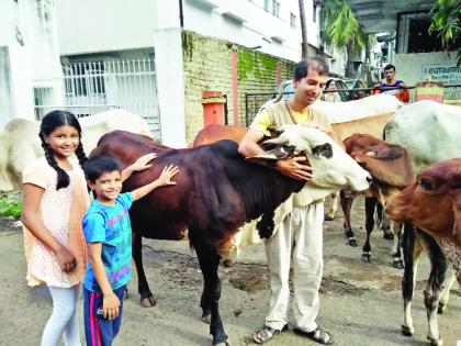 Kolhapur's Go Sevak 'Avadhuta Solanki | कोल्हापूरचा गो‘सेवक’ अवधूत सोळंकी