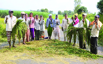 Glee with procession, ban on the dolbie | मिरवणुकीसह गुलाल, डॉल्बीवर बंदी