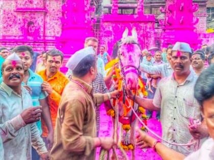 the new horse arrives at the jyotiba temple in kolhapur | दख्खनचा राजा जोतिबा मंदिरात नवीन अश्वाचे वाजत गाजत आगमन