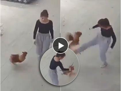 a viral video of a young girl beat to cock by teas her leg funny fighting video goes viral on social media | पायाला चोच मारली म्हणून तरुणीला आला राग, कोंबड्याची मानगुटीच धरली अन्... 