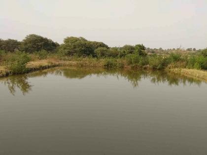  Movement for Renovation of Fish Seed Center in Koradi | कोराडी येथील मत्स्यबीज केंद्राच्या नुतनीकरणासाठी हालचाली ; केंद्राच्या समितीने केली पाहणी