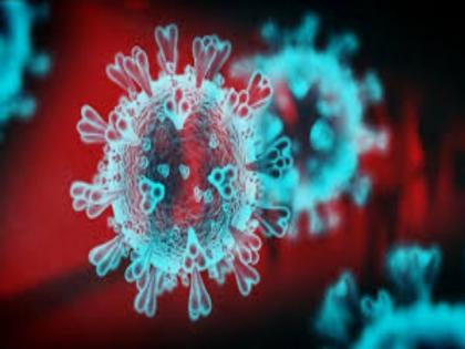 Corona virus : The number of patients in Pune city increased to 2,380; 135 new patients were added on Saturday | Corona virus : पुणे शहरातील रुग्णांचा आकडा २ हजार ३८० वर;शनिवारी तब्बल १३५ नवीन रूग्णांची भर