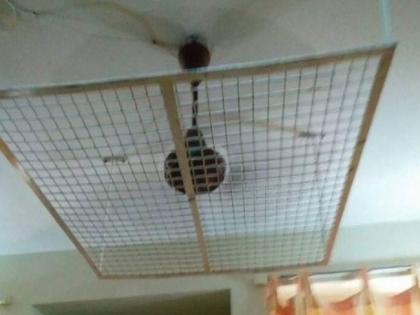 Viral: Iron net under the fan of the hostel, you will be shocked to hear reason | Viral: हॉस्टेलच्या पंख्याखाली लोखंडाची जाळी, कारण ऐकून बसेल धक्का...