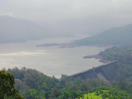 Heavy rains in Satara district have resulted in water storage of more than 81 TMC in six major projects in the western region | सातारा जिल्ह्यातील प्रमुख प्रकल्प निम्मे भरले; पावसाचा जोर वाढल्यास धरणातून विसर्ग वाढणार 