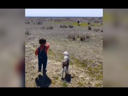 Video of little boy helps reuniting lost lamb with its mother is going viral on social media | लहान मुलाने घडवून आणली माय-लेकाची भेट! व्हिडीओ पाहून येईल डोळ्यांत पाणी