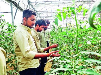 Maharashtra State Agricultural University Vice Chancellor Coordinating Committee meeting decided to reduce two leave in a months | कृषी विद्यापीठांनी आठवडी सुट्ट्या केल्या कमी; कोरोना काळातील 'बॅकलॉग' भरून काढणार