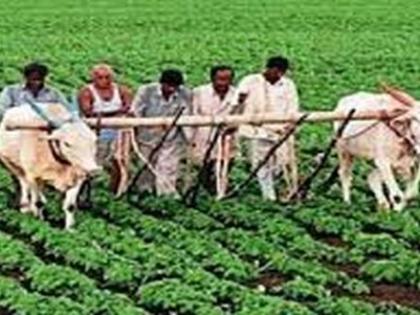 The scope of 'agricultural revival' will increase |  ‘कृषी संजीवनी’ची व्याप्ती वाढणार