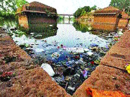 Water from the Krishna valley, harmful to livestock | कृष्णा खोऱ्यातील पाणी अपायकारक, पशुधनही धोक्यात