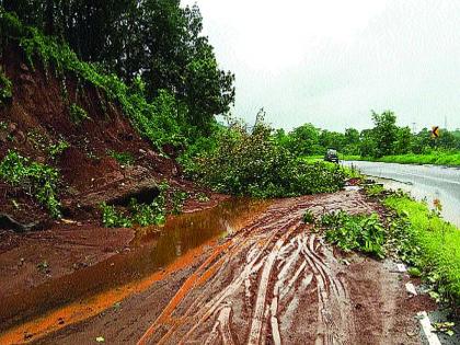 A collapse on the Karjat-Kalyan state road | कर्जत-कल्याण राज्य मार्गावर कोसळली दरड