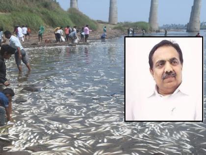 BJP state secretary Prithviraj Pawar alleges Jayant Patil responsible for Krishna river pollution | कृष्णा नदीच्या प्रदूषणास जयंत पाटील जबाबदार, भाजपचे प्रदेश सचिव पृथ्वीराज पवार यांची टीका