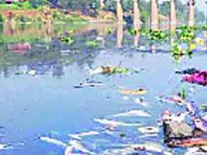 Where did the committee on Krishna river pollution disappear | कृष्णा नदी प्रदूषण प्रश्नावरील समिती गायब झाली तरी कुठे?