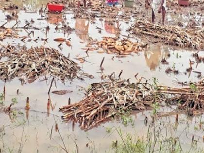 21 thousand 487 farmers affected by heavy rains will get Rs 14 crore 4 lakh relief | बळीराजाला दिलासा! अतिवृष्टीबाधितांना १४ कोटी; सातारा जिल्ह्यात २१ हजार शेतकरी लाभार्थी 