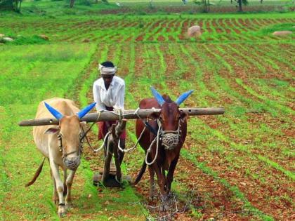 common facility centers agriculture unit will set up fund sanctioned by the central government | कॉमन फॅसिलिटी सेंटर्स कृषी युनिट उभारणार; केंद्राकडून ३०५ कोटींचा निधी मंजूर