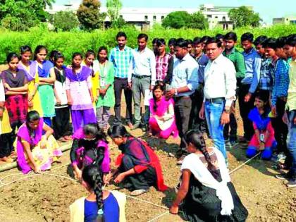 Students 'agricultural laboratory'! | विद्यार्थ्यांची ‘कृषी प्रयोगशाळा’!