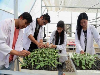 The final year examinations of all the four agricultural universities in the state will now be held after the lockdown | राज्यातील चारही कृषी विद्यापीठांच्या अंतिम वर्षाच्या परीक्षा आता लॉकडाऊननंतर होणार 