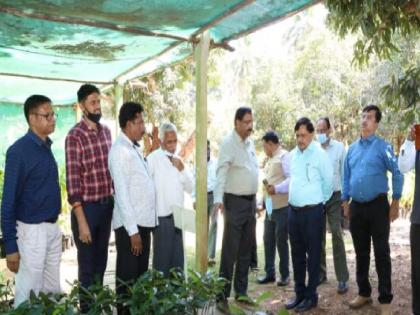 Vice Chancellor of Maharashtra Agricultural University visits Vengurla Regional Fruit Research Center | महाराष्ट्रातील कृषी विद्यापीठांच्या कुलगुरूंची वेंगुर्ला प्रादेशिक फळ संशोधन केंद्राला भेट