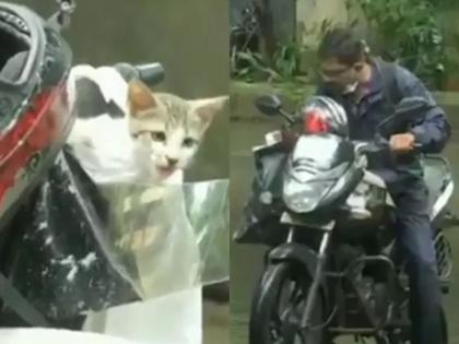 Video: This man save kitten in heavy rain of mumbai people are calling him hero | Video : रिअल हिरो! मुसळधार पावसात अडकलेल्या मनीमाऊचे बाईकस्वारानं वाचवले प्राण