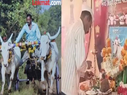 The death of a bull called Kundal of Dhamod village kolhapur who used to compete in bullock cart races | Kolhapur: बैलगाडी शर्यती गाजवणारा कुंडल 'देवाघरी' गेला, मालकाने केलं विधिवत अंत्यसंस्कार-video