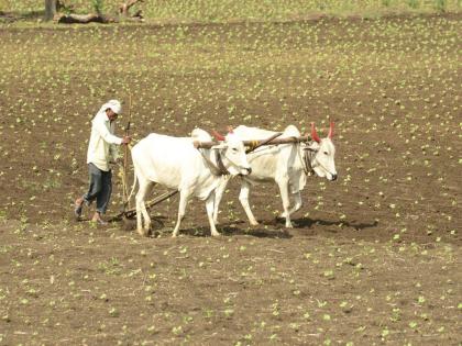 Two lakh farmers affected by lack of e-KYC | ई-केवायसी नसल्याचा दोन लाख शेतकऱ्यांना फटका