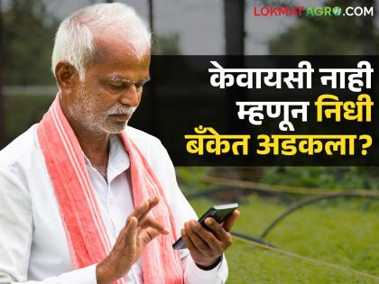 latest news E-KYC Problem : Farmers caught in the 'e-KYC' trap; 746 crores lying in the bank! | E-KYC Problem : ‘ई-केवायसी’च्या जंजाळात शेतकरी अडकले; ७४६ कोटी बँकेत पडून! latest news E-KYC Problem : Farmers caught in the 'e-KYC' trap; 746 crores lying in the bank! | E-KYC Problem : ‘ई-केवायसी’च्या जंजाळात शेतकरी अडकले; ७४६ कोटी बँकेत पडून!