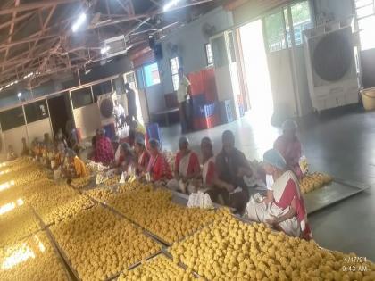 3 lakh bundi of Vitthal's prasad, 50 thousand amaranth ladles are ready | विठ्ठलाच्या प्रसादाचे ३ लाख बुंदी, ५० हजार राजगिरा लाडू तयार