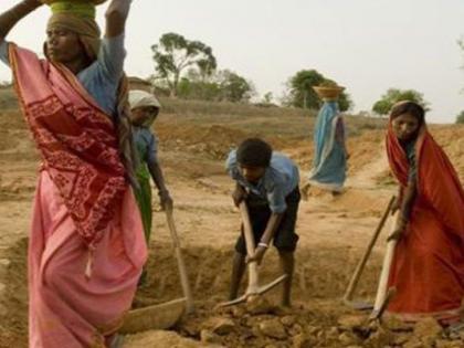 The number of laborers on MNREGA's works decreased | बुलडाणा जिल्ह्यात रोहयोच्या कामांवर मजुरांची संख्या रोडावली