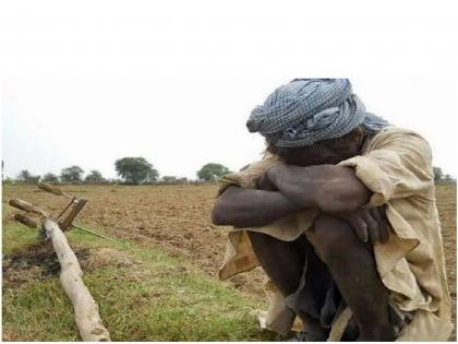 around 1500 farmer suicides reported in nine months; 817 farmer suicides in West Vidarbha, 661 in Marathwada | Farmers Suicide : नऊ महिन्यांत दीड हजार शेतकऱ्यांनी कवटाळला मृत्यू