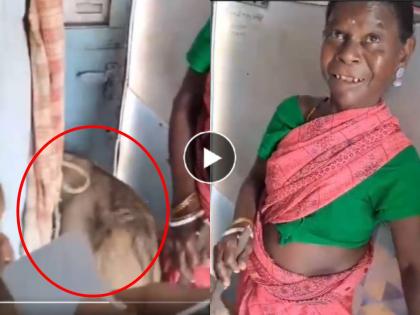 lady boards train with goat with ticket in hand ticket checker laughed hard on incident watch viral video | बकरी घेऊन ट्रेनमध्ये चढली महिला; तिकीटही काढलं; प्रामाणिकपणा पाहून टीसीला हसू आवरेना (Video)