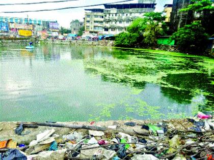 Ganesh immersion in a deodorant lake | दुर्गंधीयुक्त तलावात गणेश विसर्जन