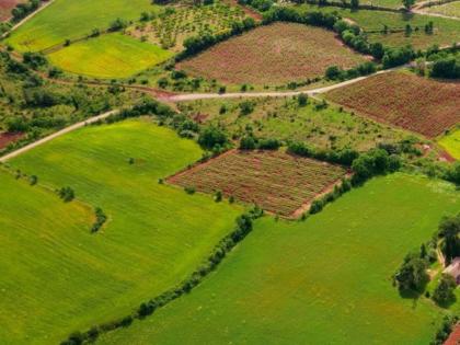 pune news government issues warning as land allocation information not updated in 10 years | जमीनवाटपाची माहिती १० वर्षांत अद्ययावत न झाल्याने शासनाकडून कानउघाडणी