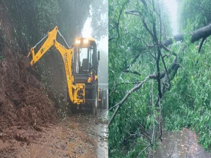 Heavy rains in Satara district; Koyna water storage increased | सातारा जिल्ह्यात पावसाचा जोर; झाडे पडली; दरडी कोसळल्या; कोयना पाणीसाठ्यात वाढ Heavy rains in Satara district; Koyna water storage increased | सातारा जिल्ह्यात पावसाचा जोर; झाडे पडली; दरडी कोसळल्या; कोयना पाणीसाठ्यात वाढ