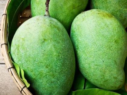 Where does the langra mango get its name from | लंगडा आंब्याचं नाव 'लंगडा' कसं पडलं असेल बरं? जाणून घ्या उत्तर