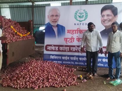 onion purchase of nafed started in lasalgaon | लासलगावी नाफेडच्या कांदा खरेदीस प्रारंभ