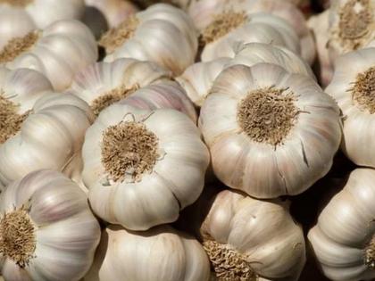 Afghani garlic is great; Prices higher than 'Deshi'; 380 in the retail market | अफगाणी लसूण मस्त; ‘देशी’पेक्षा भाव जास्त; किरकोळ मार्केटमध्ये ३८० रुपये दर