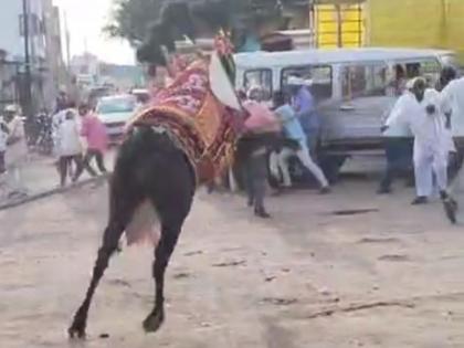 An incident in Kharela village Latur where a bull was out of control due to sound of firecrackers | Video: फटाक्यांच्या आवाजानं बैल उधळला, सगळीकडे गोंधळ; गावकऱ्यांची झाली पळापळ, १ जण जखमी An incident in Kharela village Latur where a bull was out of control due to sound of firecrackers | Video: फटाक्यांच्या आवाजानं बैल उधळला, सगळीकडे गोंधळ; गावकऱ्यांची झाली पळापळ, १ जण जखमी