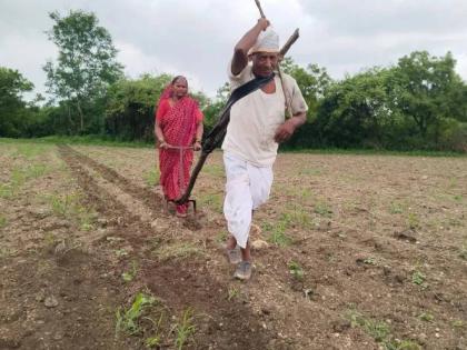 Cooperation Minister will pay off the loan of 'that' old farmer; Agriculture Minister also comes to help | ‘त्या’ वृद्ध शेतकऱ्याचे कर्ज सहकार मंत्री फेडणार; कृषिमंत्रीही मदतीला