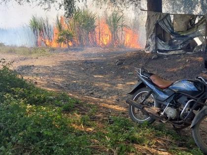 70 acres of sugarcane burnt in bhise Wagholi big loss to 20 farmers in latur | लातूर: भिसे वाघोलीत ७० एकर ऊस जळाला; २० शेतकऱ्यांचे मोठे नुकसान