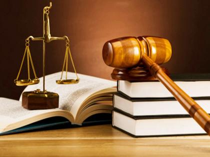 Seven thousand vacancies of law course | विधि अभ्यासक्रमाच्या सात हजार जागा रिक्त