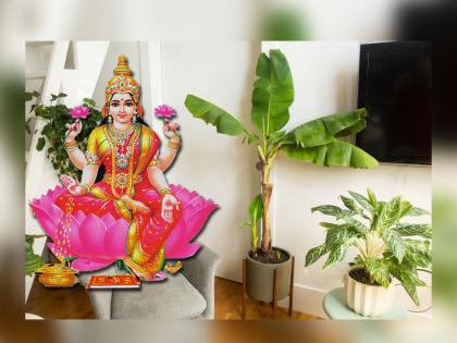घरात ही झाडे लावल्याने होईल भरभराट, लक्ष्मी कायमच प्रसन्न राहिल