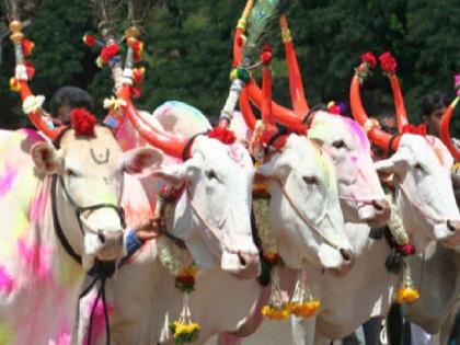 under the arch of the pola festival in every village, the colors of the Jhadtya; Farmers' situation and political satire too | भाजपच्या तोरणाखाली पवार-शिंदेंची आली हाे जोडी..; गावोगावी पोळ्याच्या तोरणाखाली आज झडत्यांची रंगत