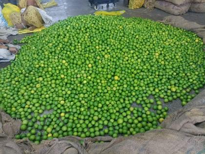 Drinking cold lemonade in summer became difficult Unseasonal rains hit lemons | उन्हाळ्यात थंडगार लिंबू सरबत पिणं झालं अवघड; अवकाळी पावसाचा लिंबूला फटका