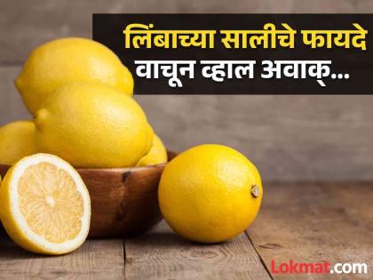 Amazing Benefits and Uses of Lemon Peel | लिंबाच्या सालीचे काय असतात फायदे? वाचाल तर कधीच फेकणार नाही!