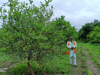 'Lockdown' a financial blow to lemon farming! | ‘लॉकडाऊन’चा लिंबू उत्पादक शेतकऱ्यांना आर्थिक फटका