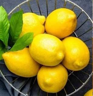 फ्रिजमध्ये ठेवलेले लिंबू सुकतात- काळे पडतात? ४ टिप्स, महिनाभर रसाळ-ताजे राहतील लिंबू