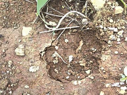 Two leopards roam around in the fields while doing agricultural work; Farmers are scared | शेतीची कामं डोक्यावर अन् सिल्लोडच्या धावडा शिवारात दोन बिबट्यांचा वावर; शेतकरी भयभीत Two leopards roam around in the fields while doing agricultural work; Farmers are scared | शेतीची कामं डोक्यावर अन् सिल्लोडच्या धावडा शिवारात दोन बिबट्यांचा वावर; शेतकरी भयभीत