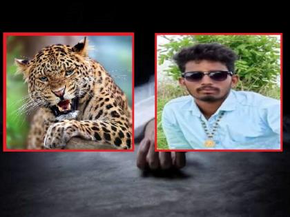 Meat was taken for the New Year party in the farm, the leopard came from the smell, the farmer died in the attack | शेतात नववर्षाच्या पार्टीसाठी मांस घेतलं, वासाने आला बिबट्या, हल्ल्यात शेतकऱ्याचा मृत्यू