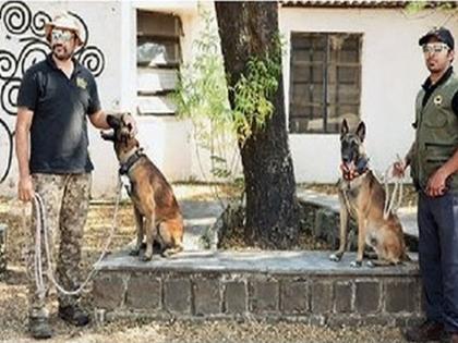 Did the leopard come...? Rescue Trust creates 'Wild Life Detection Dog' to detect dogs | बिबट्या आला का...? श्वान शोधून काढणार, रेस्क्यू ट्रस्टने तयार केला 'वाइल्ड लाइफ डिटेक्शन डॉग'