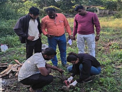 Sangli: मांगरूळमध्ये पकडलेल्या बछड्याचा पुण्याला उपचारासाठी नेताना मृत्यू